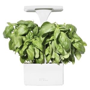 SHORT STORIES LED INDOOR PLANTER, From FabFitFun, Brand New in Box